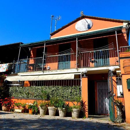 레반토 La Casa Rosa! 아파트 외부 사진